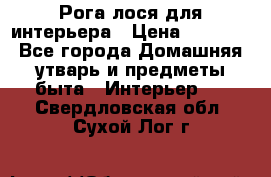 Рога лося для интерьера › Цена ­ 3 300 - Все города Домашняя утварь и предметы быта » Интерьер   . Свердловская обл.,Сухой Лог г.